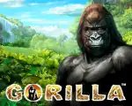 Gorilla™